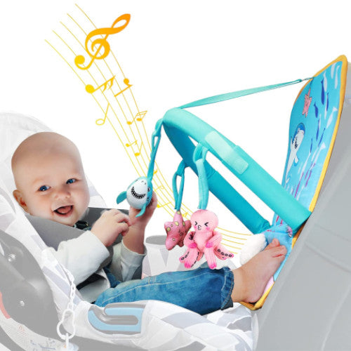 Baby - Car Seat Accessories