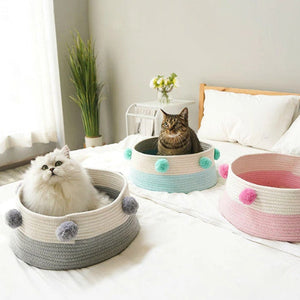 Pets & Pet Accessories - Cats HOD Health and Home | HOD Fitness | HOD Pets | HOD Outdoors