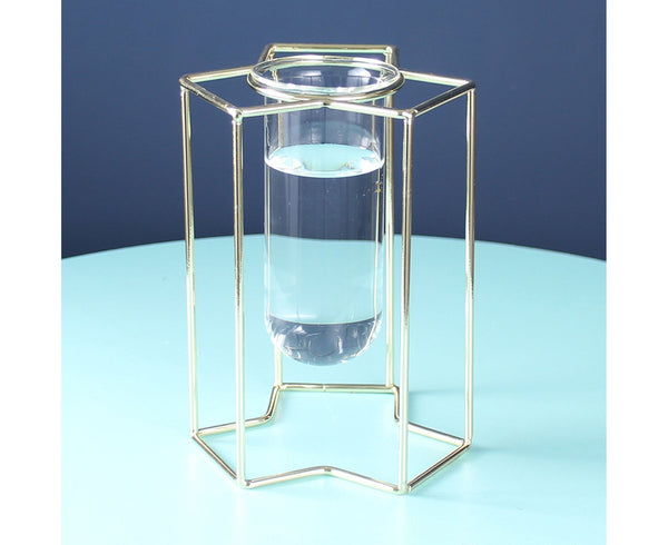 Glass Vase Sturdy Construction Geometric Hollow Design Iron Modern Hydroponic Flower Pot Decor For Home-Golden