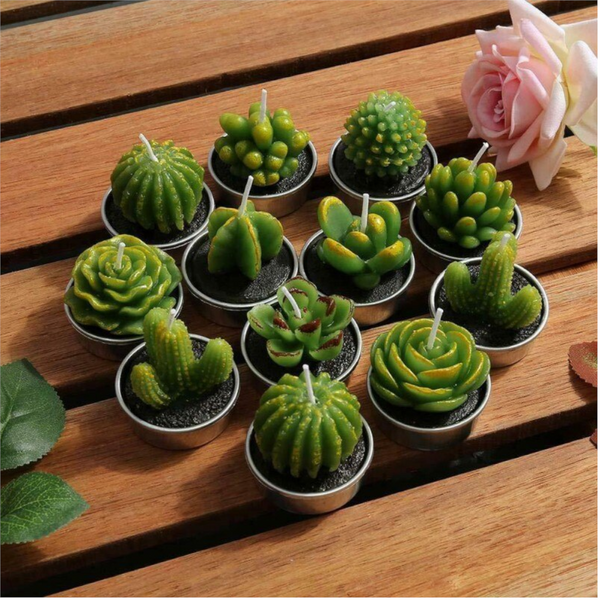 6Pcs/Set Artificial Cactus Succulent Plant Green Mini Candles Home Dcor