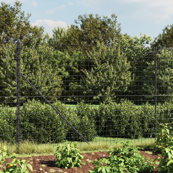 Wire Mesh Fence Anthracite 1.6X25 Galvanised Steel