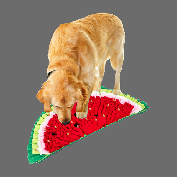 Big Watermelon Snuffle Mat Puppy Dog Slow Feeding Toy