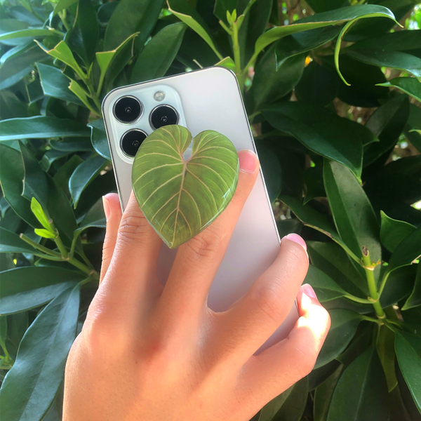 Cute Green Leaves Smart Phone Holder Finger Stand