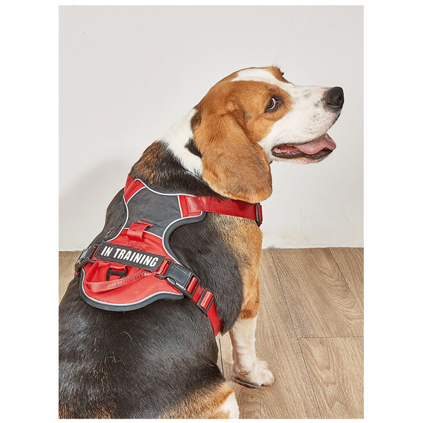 Dog Harness No Pull Outdoor Walking Breathable Reflective Adjustable Small For Medium Large Dogs Pet Supplies