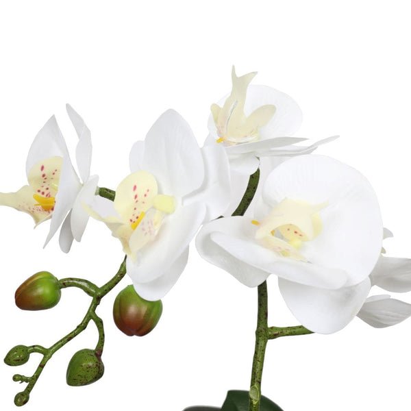 Potted Single Stem White Phalaenopsis Orchid With Decorative 35Cm