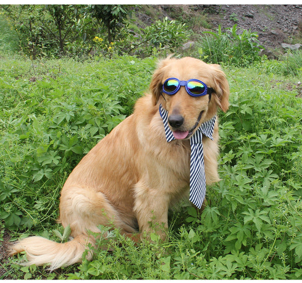 Super Cute Foldable Waterproof Goggles Uv Protection Dogs Sunglasses