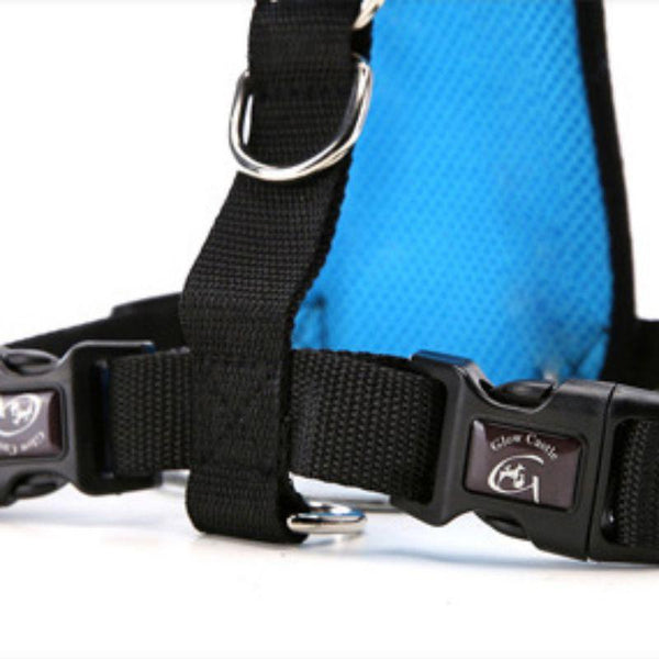 Adjustable Dog Harness With Seat Belt Strap