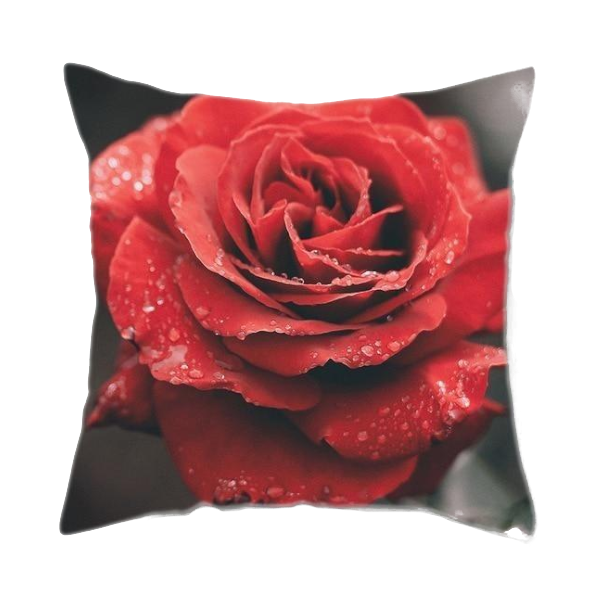 Happy Valentine's Day Red Polyester Decorative Cushion Covers Home