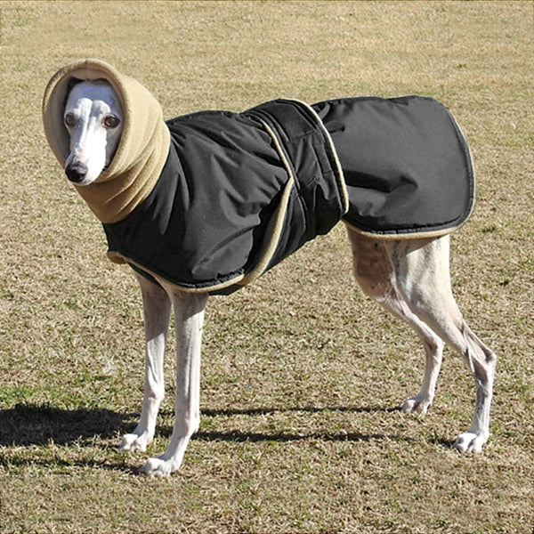 Waterproof Warm Winter Dog Jacket Large Breeds