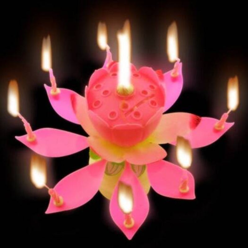 Macroart 14 Petals Flower Lotus Candle For Birthday Cake Pink
