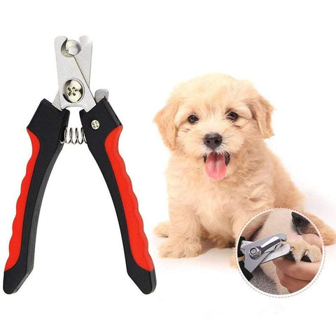 Pet Shearing Clipping Nail Clippers And Trimmers Cat Dog Stainless Steel Nails