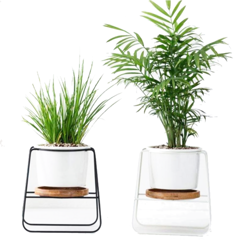 Poise Pot Indoor Little Plant Stand Home Decor