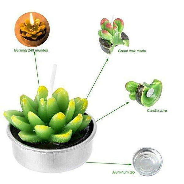 6Pcs/Set Artificial Cactus Succulent Plant Green Mini Candles Home Décor