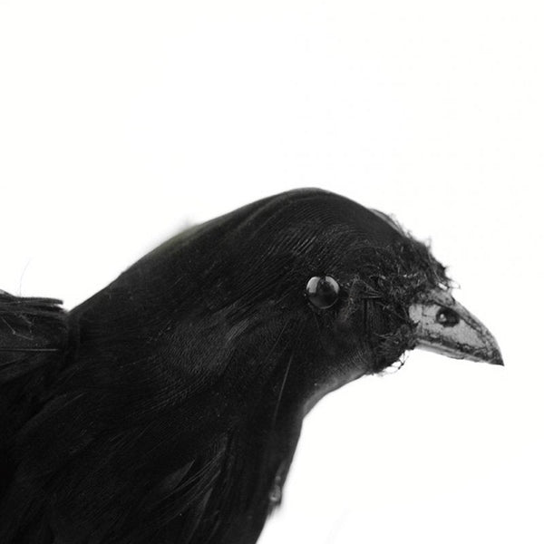 Simulate Black Crow Shape Decorative Prop For Halloween