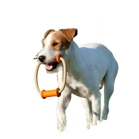 Major Dog Scuffle Dummy - Tug Toy