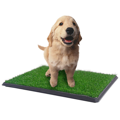 Yes4pets Xl Indoor Dog Puppy Toilet Grass Training Mat Loo Pad Potty W 3