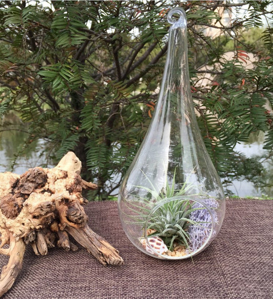 4 Pack Of Hanging Clear Glass Tealight Candle Holder Tear Drop Pear Shape - 12Cm High Terrarium Plant Mini Garden Decor