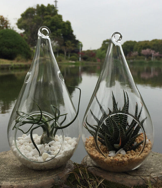 4 Pack Of Hanging Clear Glass Tealight Candle Holder Tear Drop Pear Shape - 12Cm High Terrarium Plant Mini Garden Decor