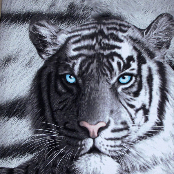 Set Of 3 Printed Blue Eyes Stripes Tiger Wall Canvas