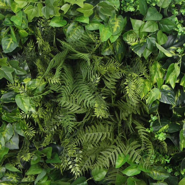 Slimline Artificial Green Wall Disc 80Cm Mixed Fern & Ivy (Modern Black)