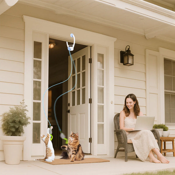 Interactive Electric Cat Toy Door Hanging Usb Rechargeable Retractable Self Play Cat Toys