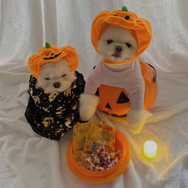 Pet Cat Dog Pumpkin Hat Halloween Ghost Festival Decoration Headwear Supplies Dog Costumes