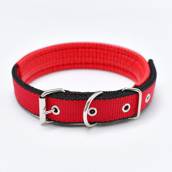 Walk Me Nylon Flat Dog Collar Dog Collars