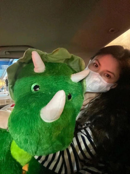 Hamres Triangle Dragon Doll Large Pillow Plush Plush Toys