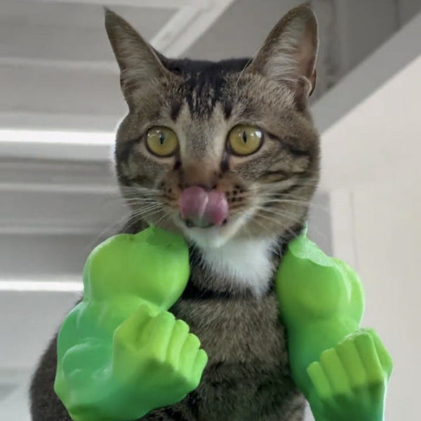 Hulk Cat Arm Pet Dog Toy Photography Prop 3D Printed Cute Funny Creative Costume Backpack Dog Toys