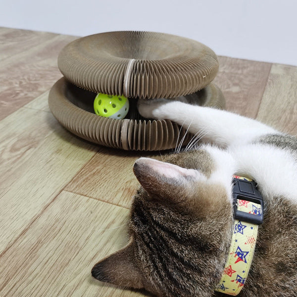 Magic Organ Cat Scratching Board Toy With Bell Cat Toys