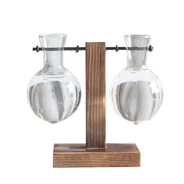 Transparent Bulb Vase With Wood Stand. For Hydroponics. Great Coffee Shops & Room Decor. Vases