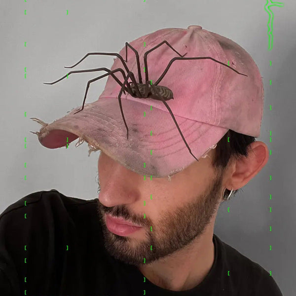 Plastic Spider As Decoration Novelty Ornament Seasonal Decorations