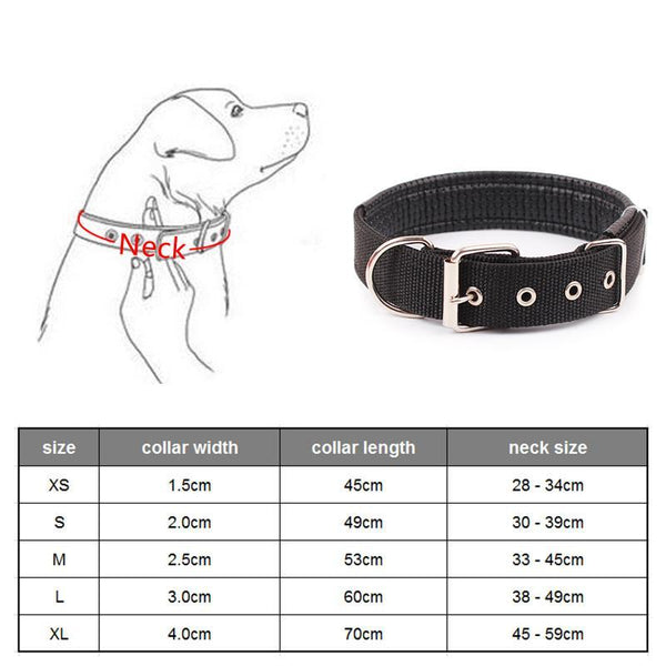 Walk Me Nylon Flat Dog Collar Dog Collars