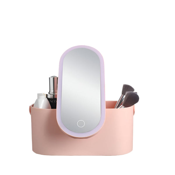 Storage Box Led Makeup Mirror Portable Travel Organizer Carrying Makeup Bags & Cases