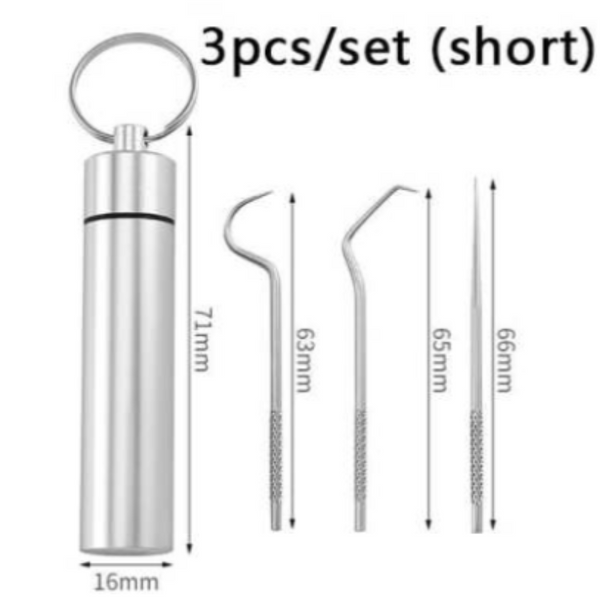 Toothpick Dispensers Stainless Steel Toothpick 304 Household Portable Cleaning Tool Set