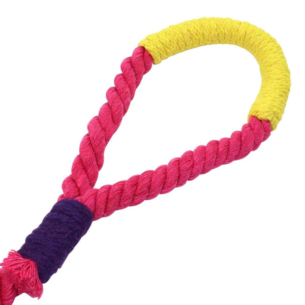 1.6 Metre Vibrant Rope Dog Leashes