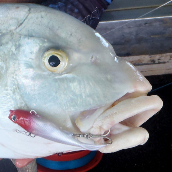 Swimerz 95Mm Soft Vibe Blue Water 2 Pack Baits & Lures