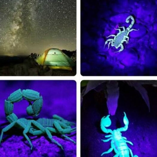 100 Led Uv Flashlight For Pet Urine Fluorescent Reagent Detection Black Flashlights