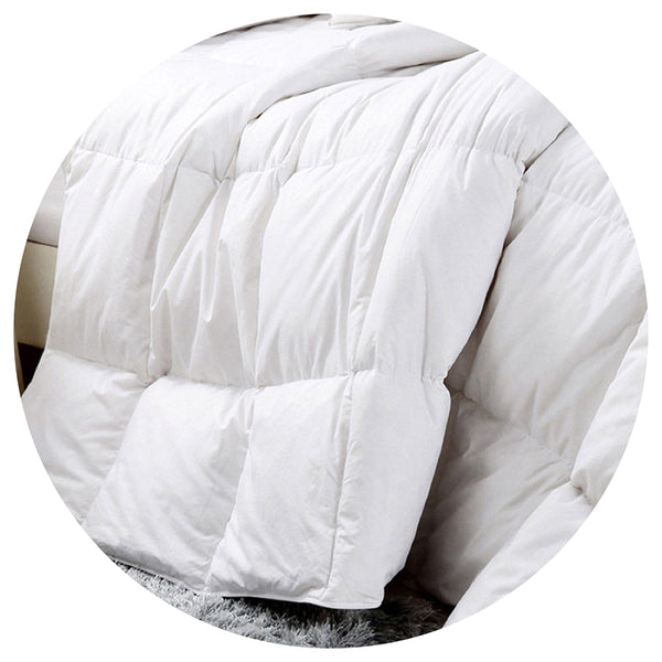 Royal Comfort Duck Feather And Down Quilt Size: 95% 500Gsm White Cotton King Single Single Bed Quilts