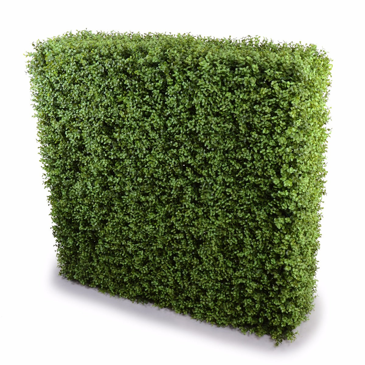 Deluxe Portable Buxus Hedges Uv Stabilised 150Cm Long X High