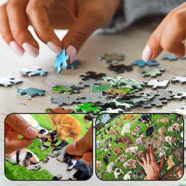 Puzzle 1000Pc: 101 Pooping Puppies Jigsaw Puzzles