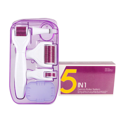 Dermakit 6 In 1 Roller Kit Facial Microneedling Set Skin Care Tools Skin Care Sets & Kits