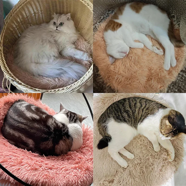 Soft Plush Round Cat Bed Mat For Small Dogs Cats Cozy Fleece Pet Sleeping Kitten Puppy Nest Warm Cushion Accessories Pet Beds