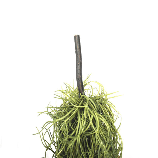 Artificial Air Plant Spanish Moss Old Man Beard 60Cm Artificial Plants