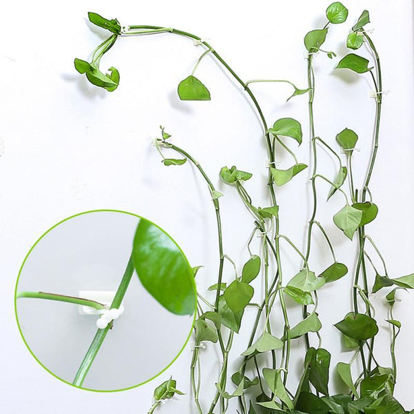 Invisible Wall Rattan Clips Decor Hanging Tools Plant Ties & Supports