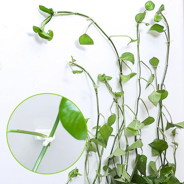 Invisible Wall Rattan Clips Home Decor Hanging Tools