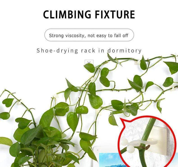 Invisible Wall Rattan Clips Decor Hanging Tools Plant Ties & Supports