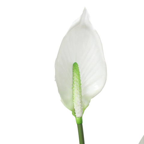 Artificial Flowering White Peace Lily / Calla 95Cm