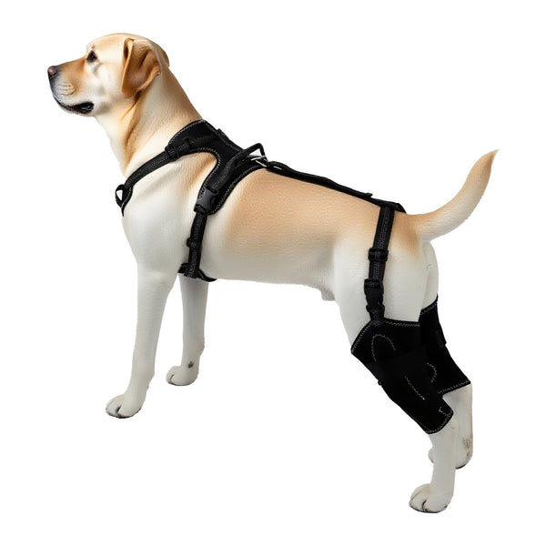 Pet Protective Gear Dog Hind Leg Double Thigh Cover Dog Grooming