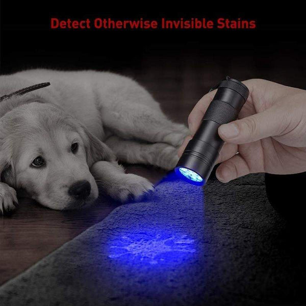 Mini Uv Blacklight Flashlight 12 Led Lights Torch Flashlights